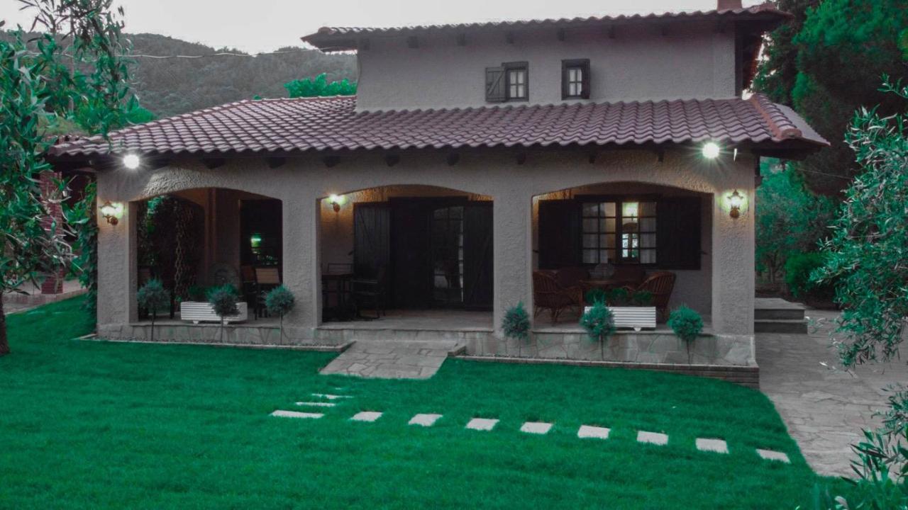 Agios Andreas The Tree House别墅 外观 照片