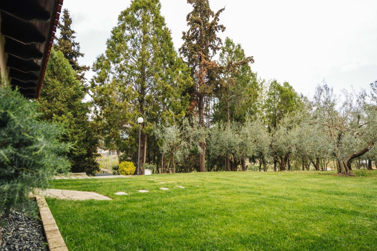 Agios Andreas The Tree House别墅 外观 照片